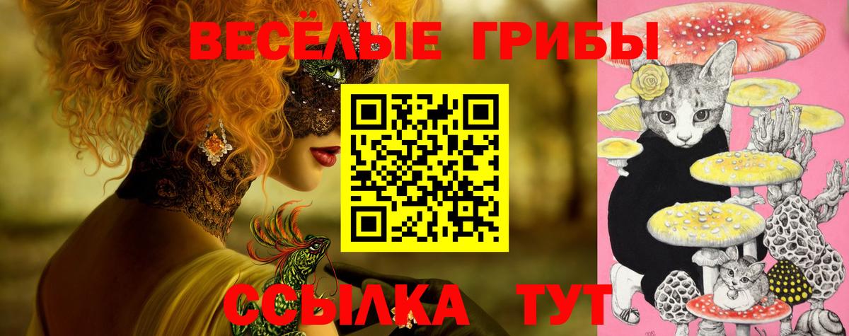  Cocaine Качканар