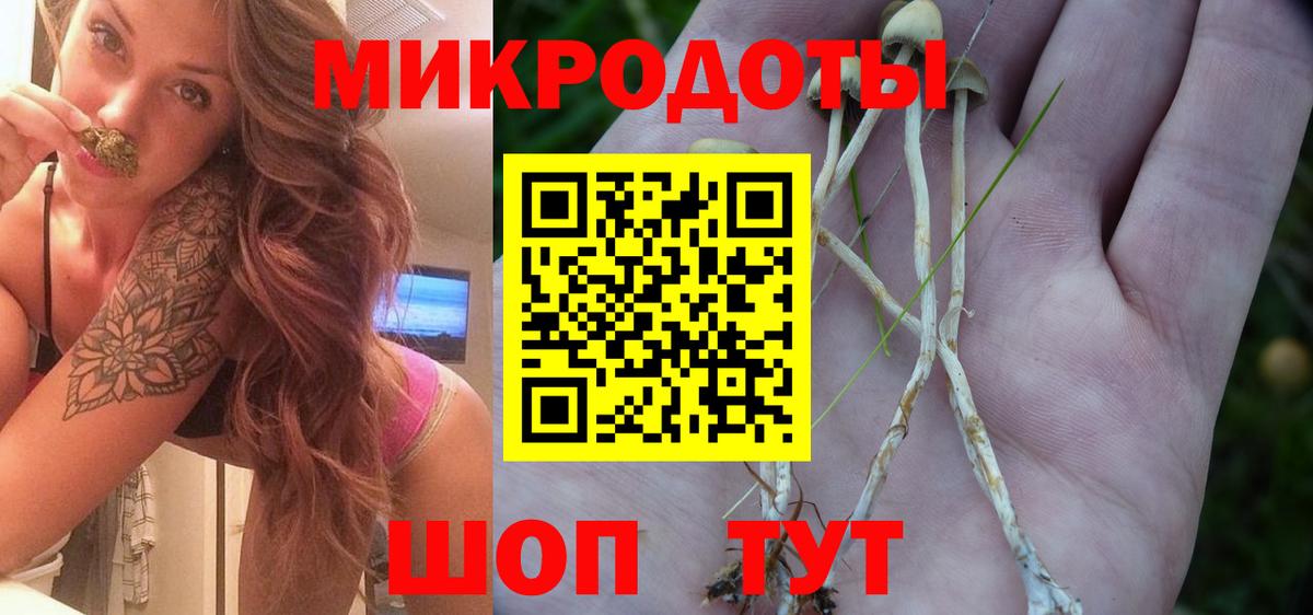 Псилоцибиновые грибы GOLDEN TEACHER Качканар